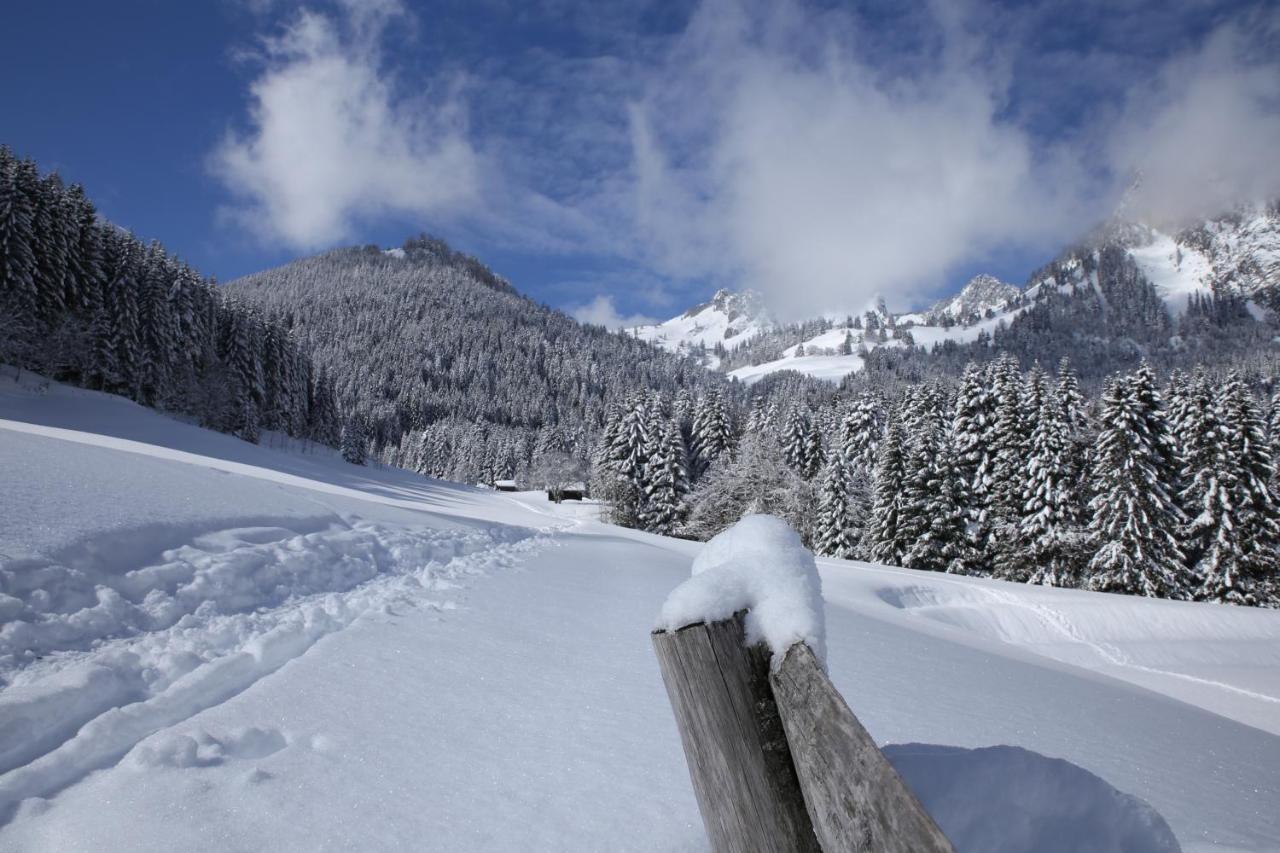 Heerlijke Wandel Of Ski Vakantie In Torgon Portes Du Soleil Экстерьер фото